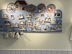 -汪说·狗咖·拼豆·宠物周边DIY(旺城大厦店)
