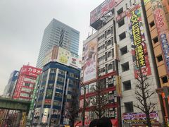 -秋叶原电器街