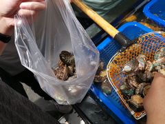 -盒马鲜生(曜一城店)