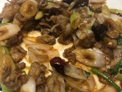 -保定会馆(秀兰店)