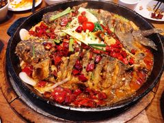 -老板恋上鱼(恒隆广场店)