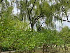 -玲珑塔公园