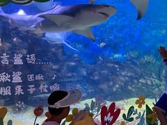 -烟台海昌鲸鲨海洋公园