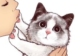 -Bastet sally猫舍购宠(静安店)