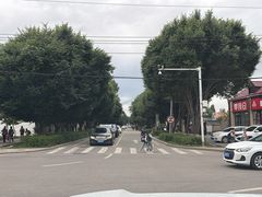 -特克斯八卦城