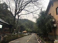 -天怡·鱼工厂(梅溪湖店)
