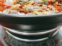 -秦扬居特色菜馆(上王村)