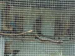 -九龙公园