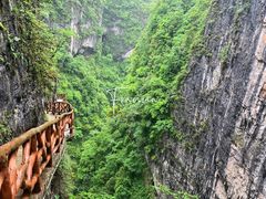 -鹿院坪生态旅游景区