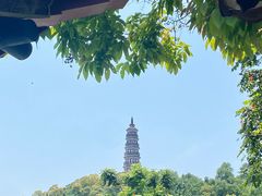 -顺峰山公园