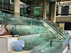 -光海鲜鱼翅餐厅(叻差拉披色路店)