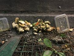 -冯姐生蚝(迎宾广场店)