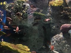 -福州罗源湾海洋世界旅游区