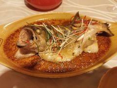 -深山老屋(国顺东路店)