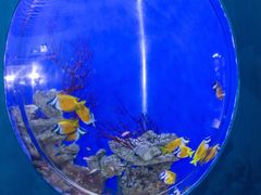-江和美海洋公园