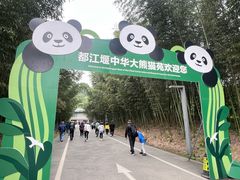 -都江堰中华大熊猫苑