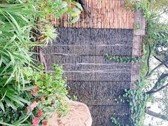 -山大王菌莊