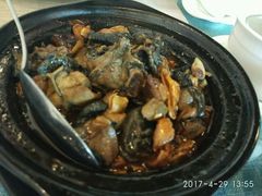 茶油鸡-茶油香闽南菜·花园餐厅(前埔店)