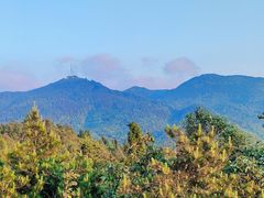 -武陵山森林公园