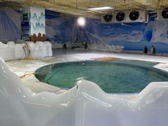-海合安武汉极地海洋公园