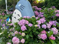 -上海滨江森林公园