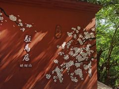 -嵖岈山风景区