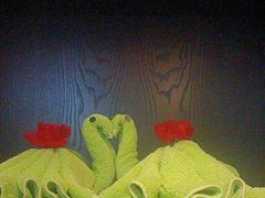 -明月山天沐温泉度假村