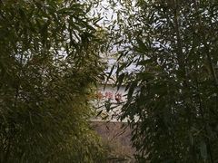 -竹子庵公园