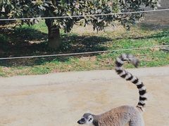 -杭州野生动物世界