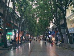 -忆螺巷螺蛳粉(步行街小巷店)