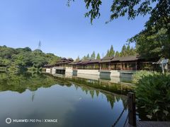 -重庆彩云湖湿地公园
