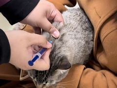 -酷宠动物医院(天通西苑店)