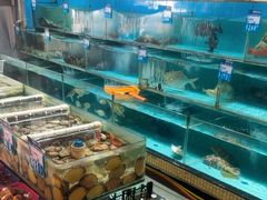 -强记海鲜·大排档(蛇口新街店)
