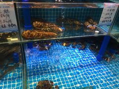 水产区-良师门滨海人家·海鲜·家常菜(滨海城店)