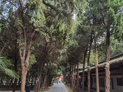 -洛阳白马寺