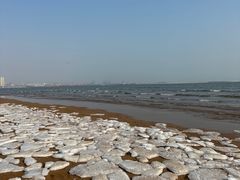 -金梦海湾浴场