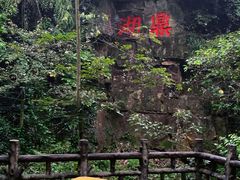 -鼎湖山风景区