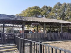 -苏州太湖国家湿地公园