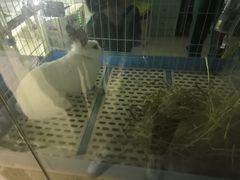 -雨林宠物医院 非犬猫异宠专科