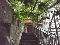 -茶泡饭(李子坝店)