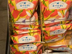 -猫的天空之城概念书店(苏州诚品店)