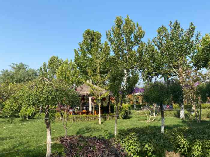 紫图生态庄园-"十一期间去的,人不多,停车免费,里面设施.