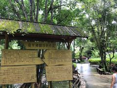 -莫里热带雨林景区
