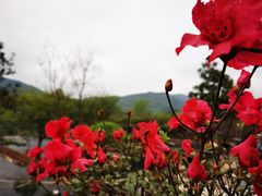 -杭州六谷生态休闲农庄有限公司