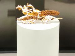 -大同市博物馆