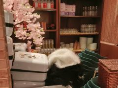 -小吊梨汤·北京菜·烤鸭(西直门凯德店)