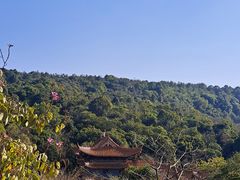 -东莞观音山旅游风景区