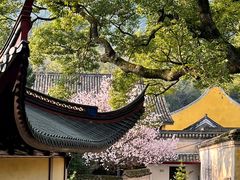 -阿育王寺