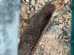 -合肥野生动物园