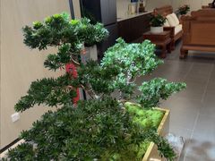 -通透堂中医·精准推拿(旗舰店)